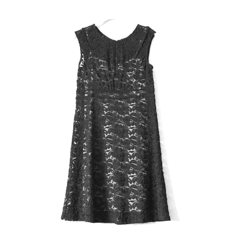 Lace Dress INC petite NWOT